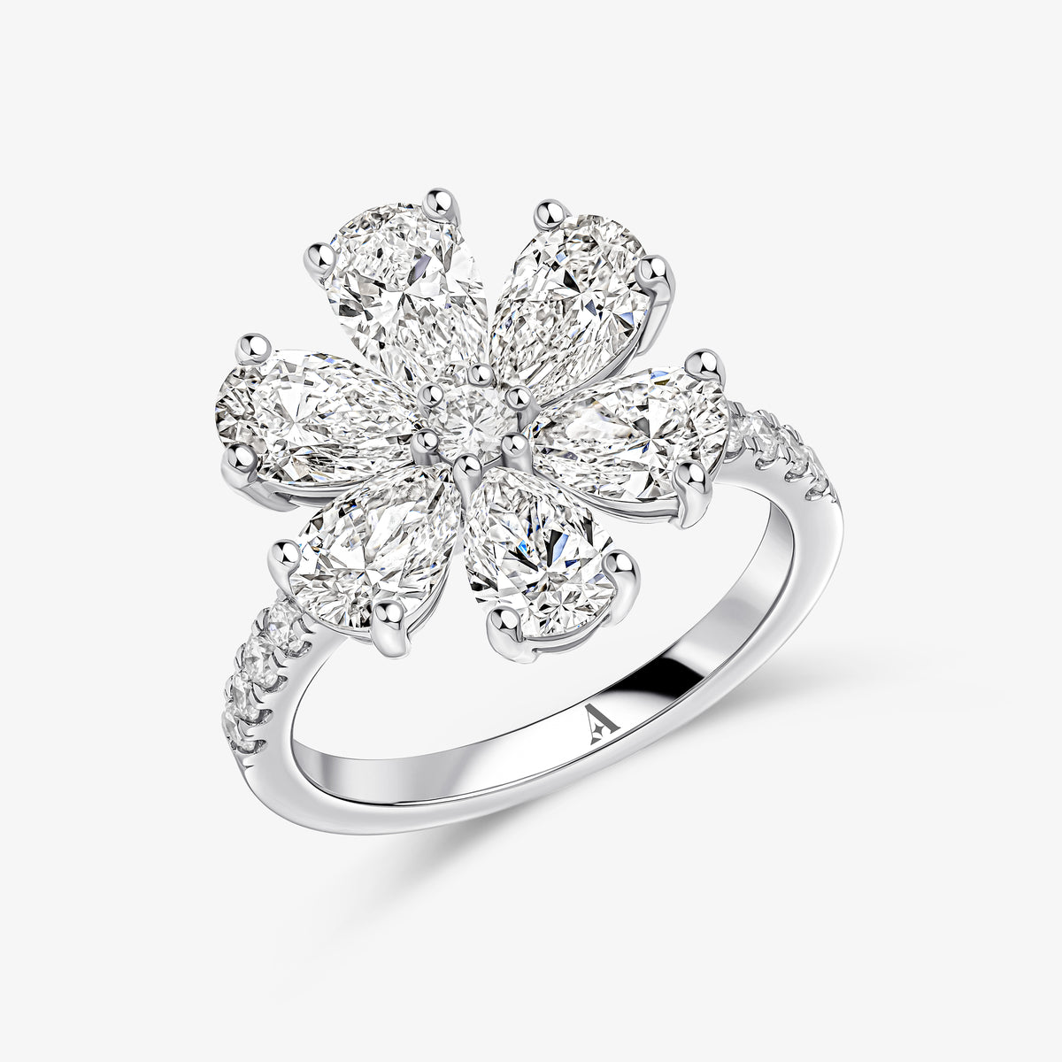 السيدة باربرا رينغ